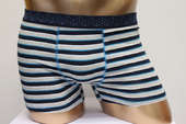 Pictures of mens  boxer short